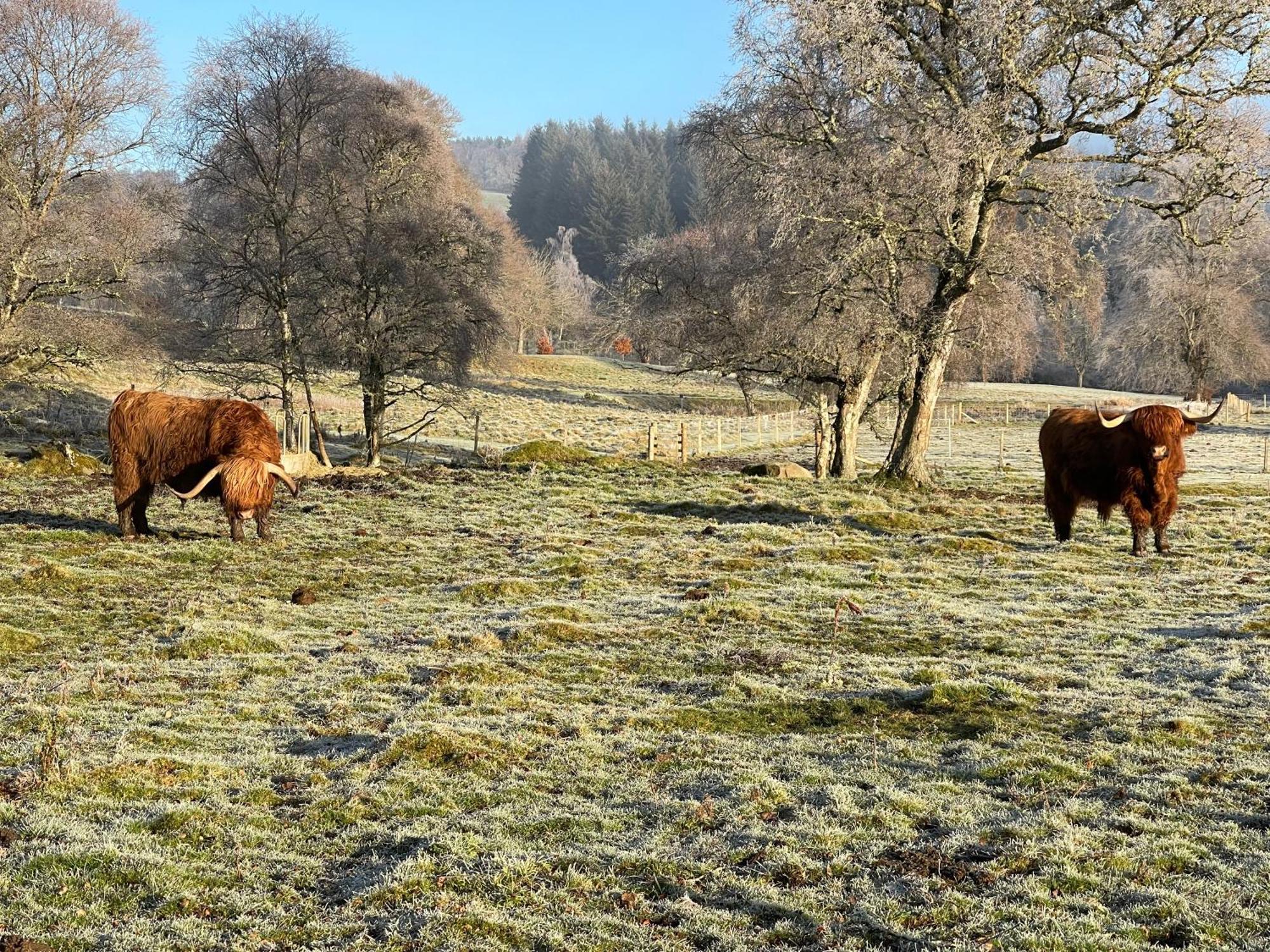 Coppice Cottage Grantown-on-Spey Zewnętrze zdjęcie