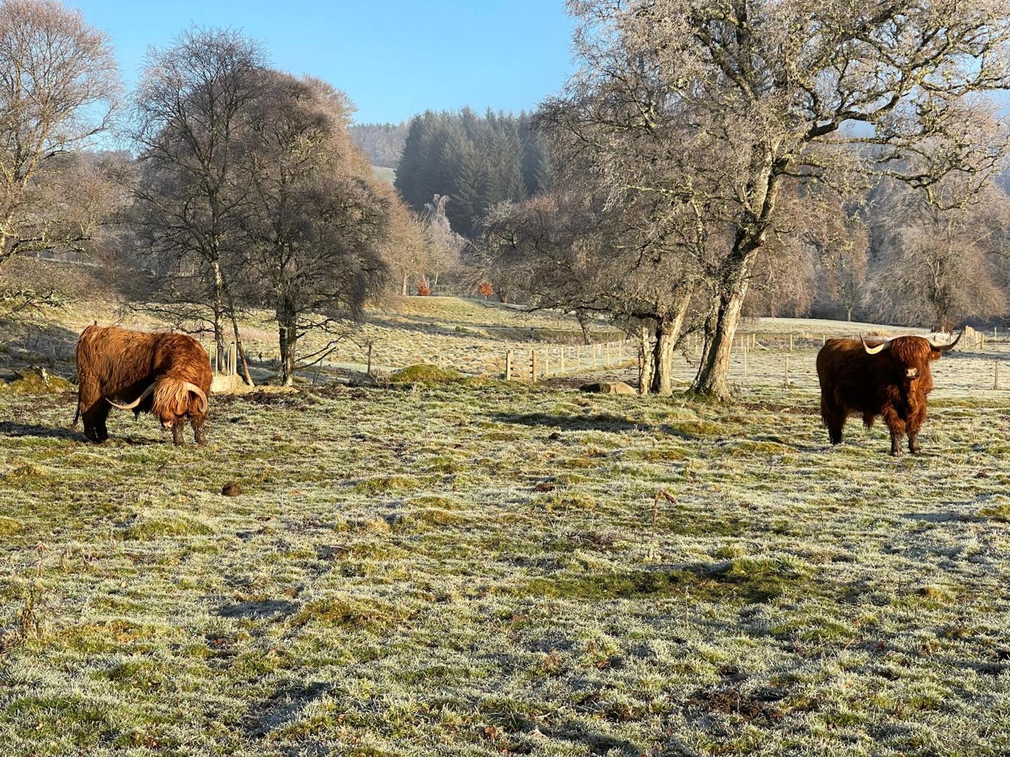 Coppice Cottage Grantown-on-Spey Zewnętrze zdjęcie