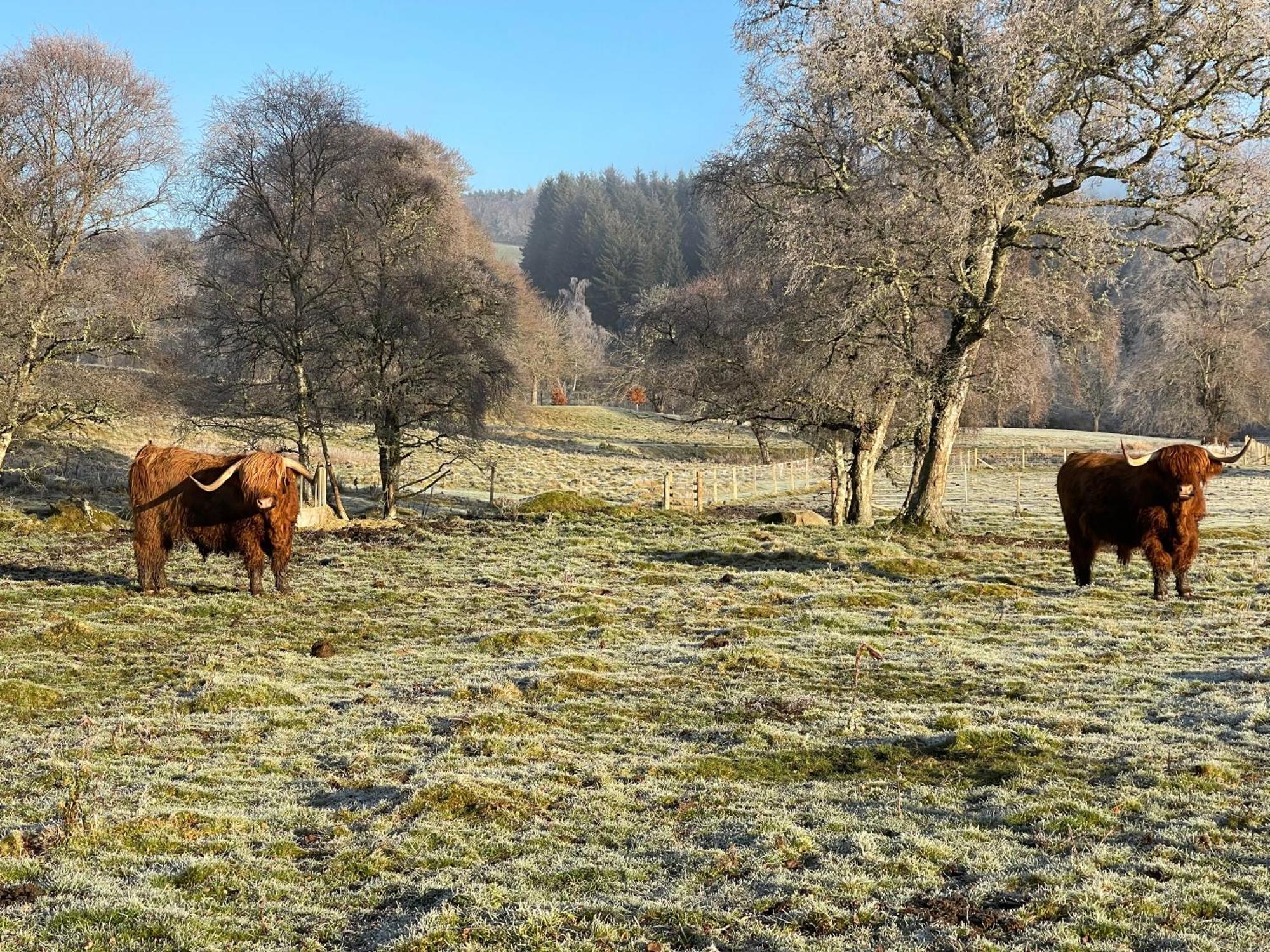 Coppice Cottage Grantown-on-Spey Zewnętrze zdjęcie