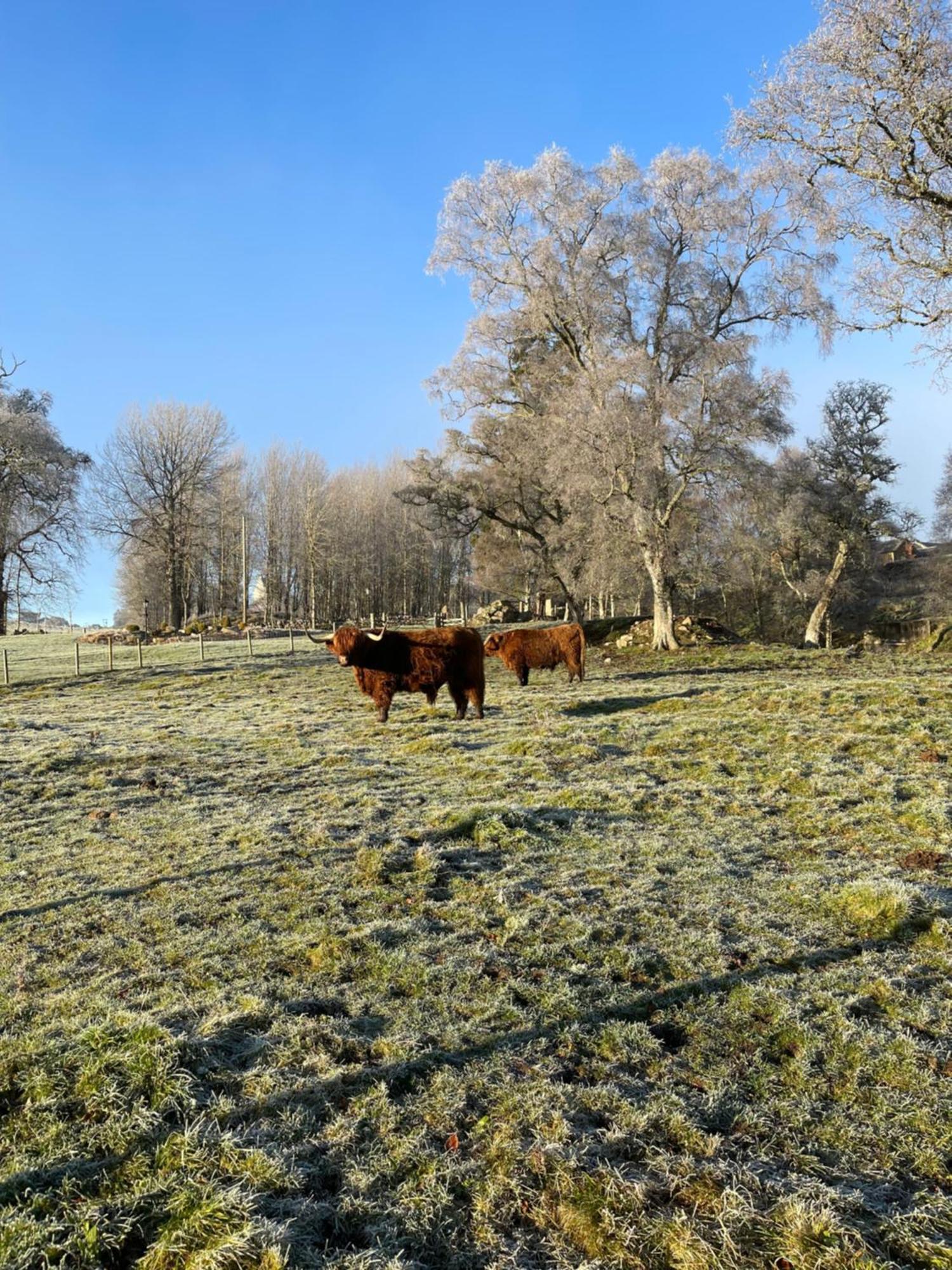 Coppice Cottage Grantown-on-Spey Zewnętrze zdjęcie