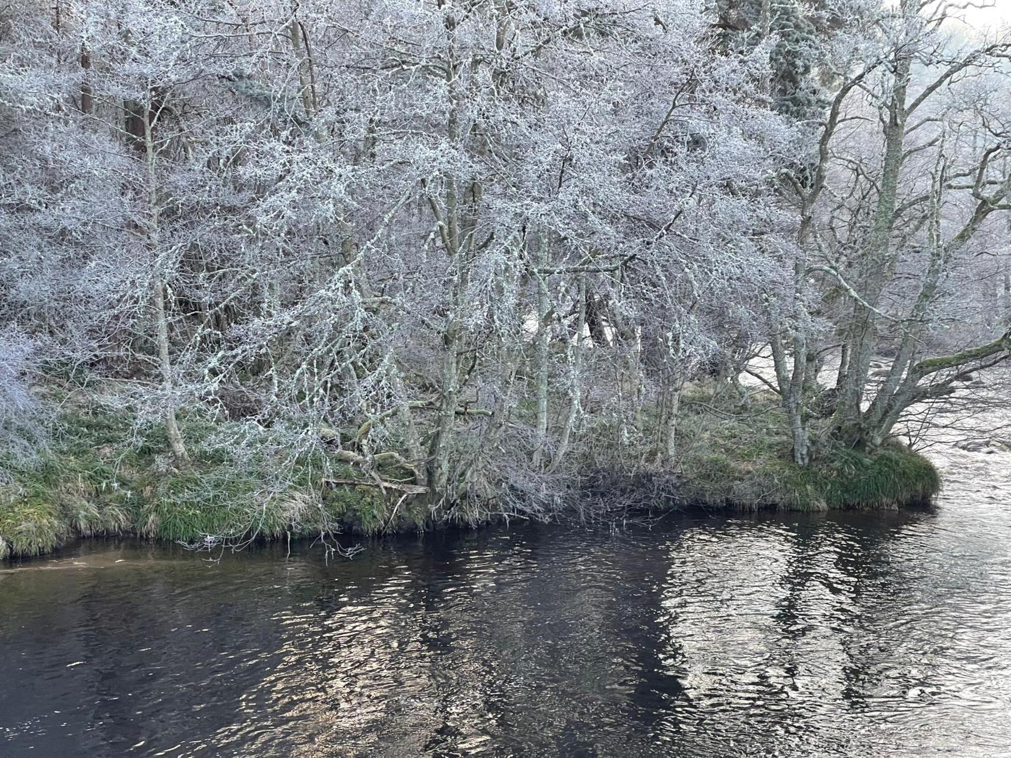 Coppice Cottage Grantown-on-Spey Zewnętrze zdjęcie