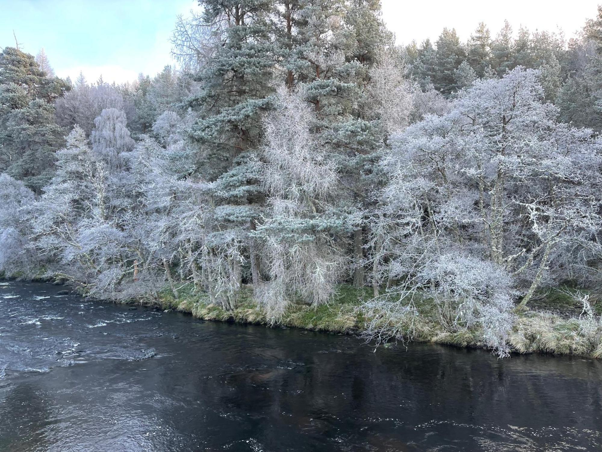 Coppice Cottage Grantown-on-Spey Zewnętrze zdjęcie