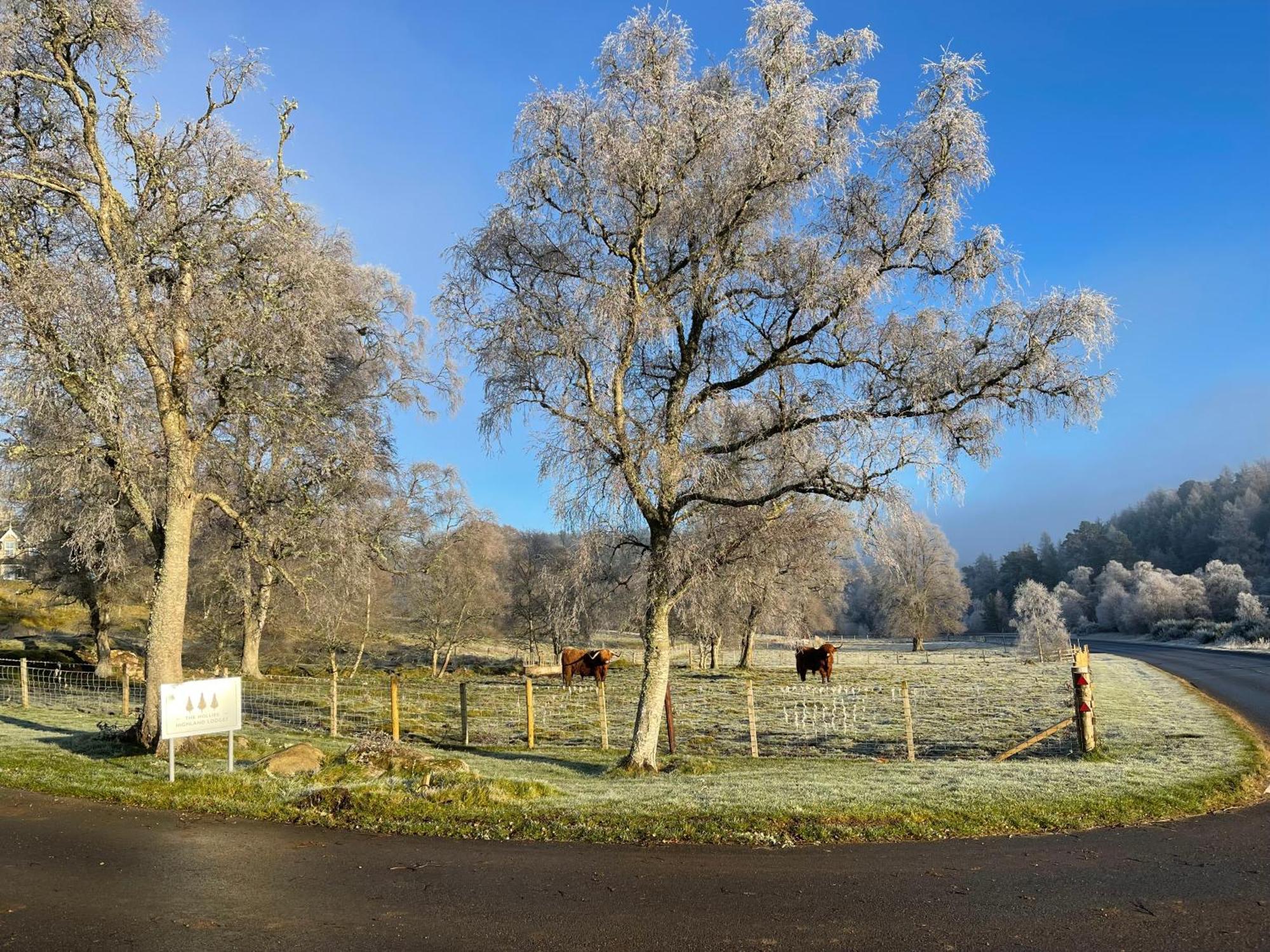 Coppice Cottage Grantown-on-Spey Zewnętrze zdjęcie