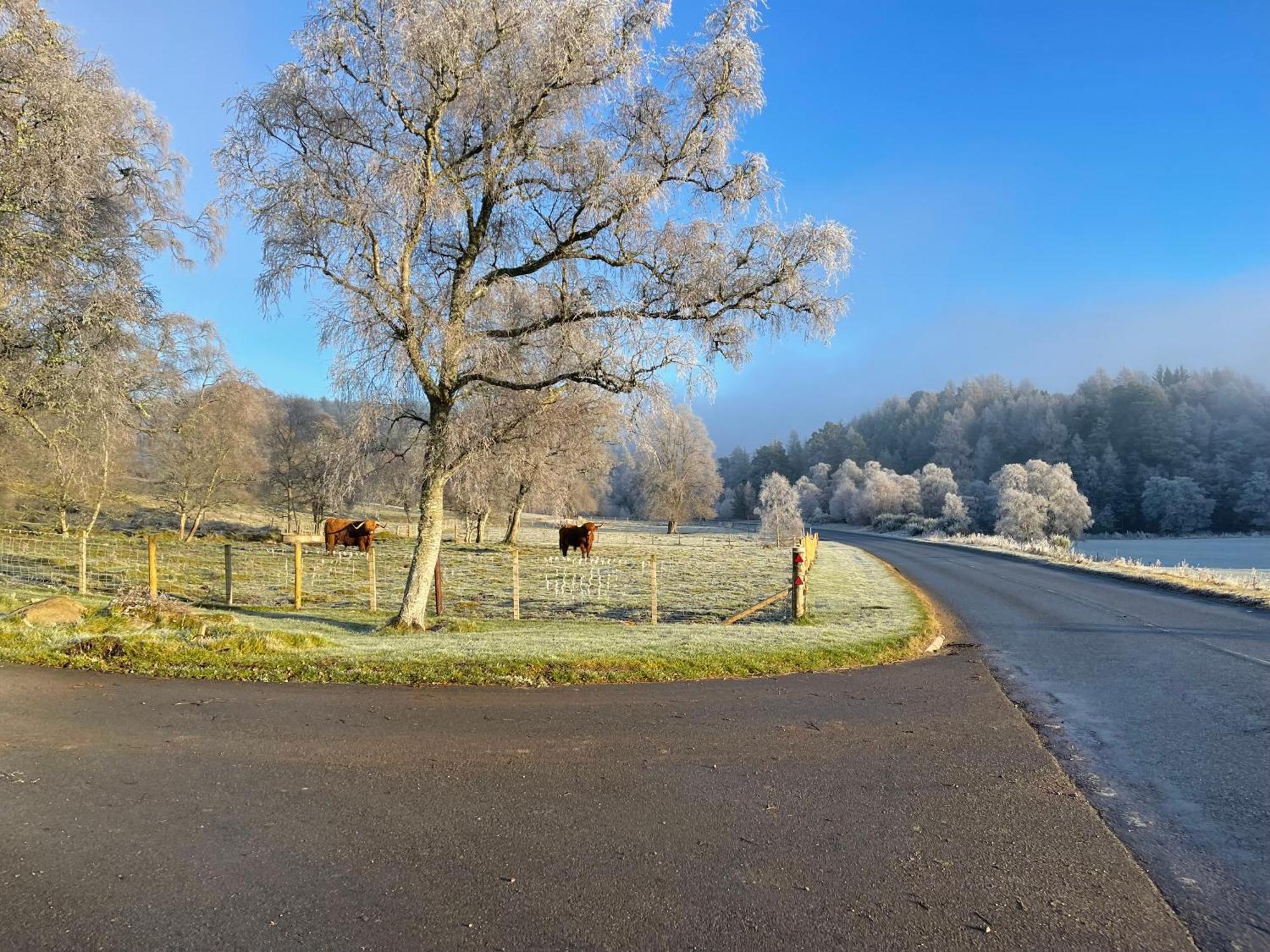 Coppice Cottage Grantown-on-Spey Zewnętrze zdjęcie