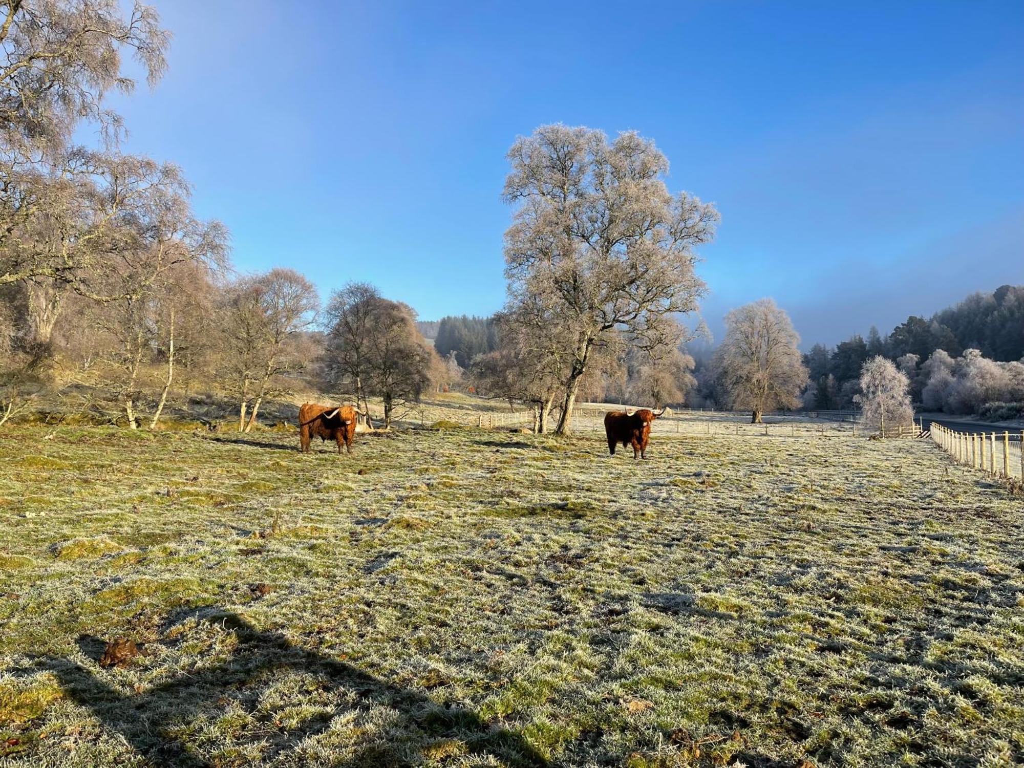 Coppice Cottage Grantown-on-Spey Zewnętrze zdjęcie