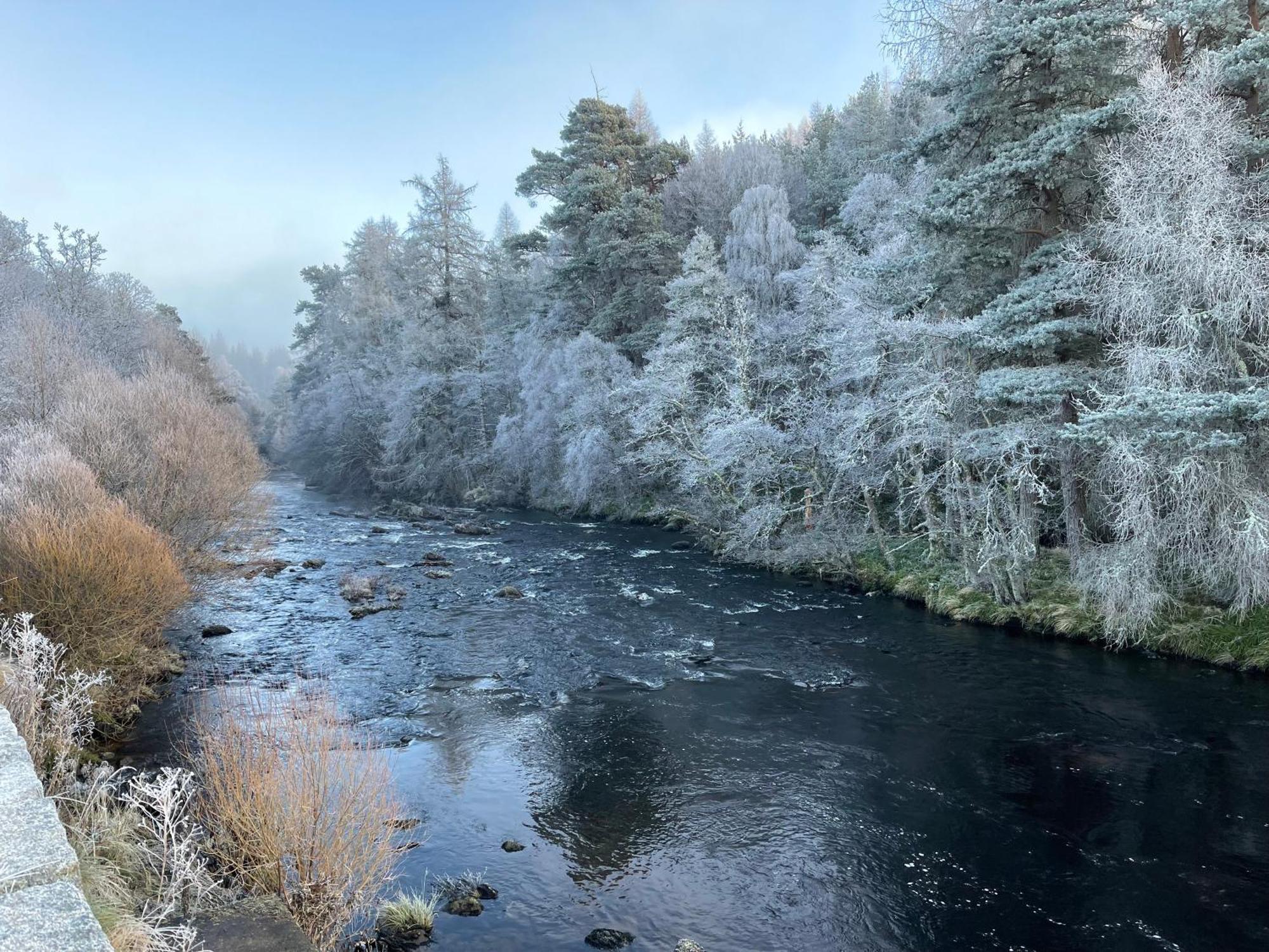 Coppice Cottage Grantown-on-Spey Zewnętrze zdjęcie