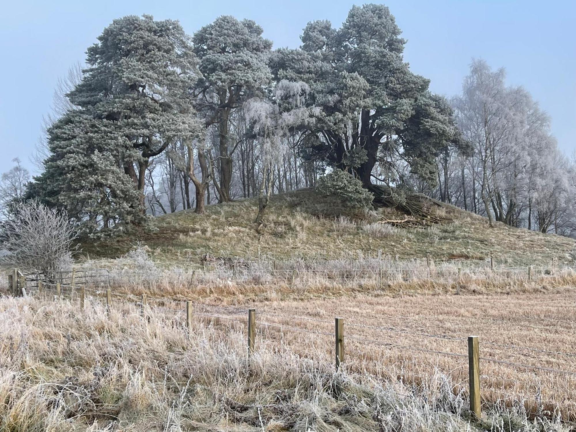 Coppice Cottage Grantown-on-Spey Zewnętrze zdjęcie