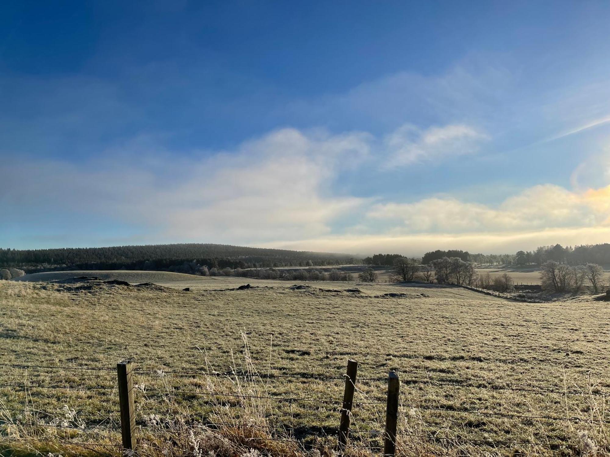 Coppice Cottage Grantown-on-Spey Zewnętrze zdjęcie