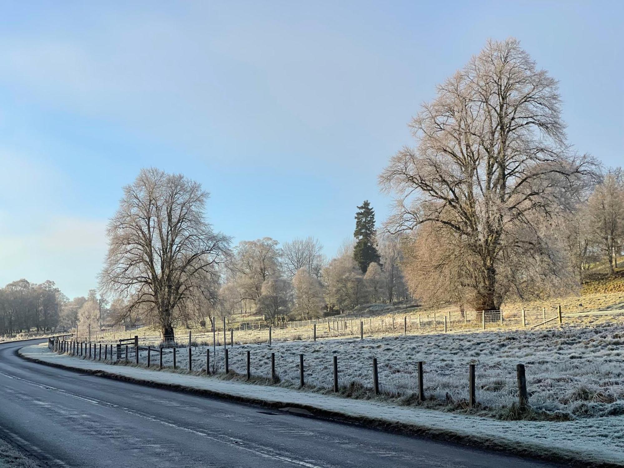 Coppice Cottage Grantown-on-Spey Zewnętrze zdjęcie