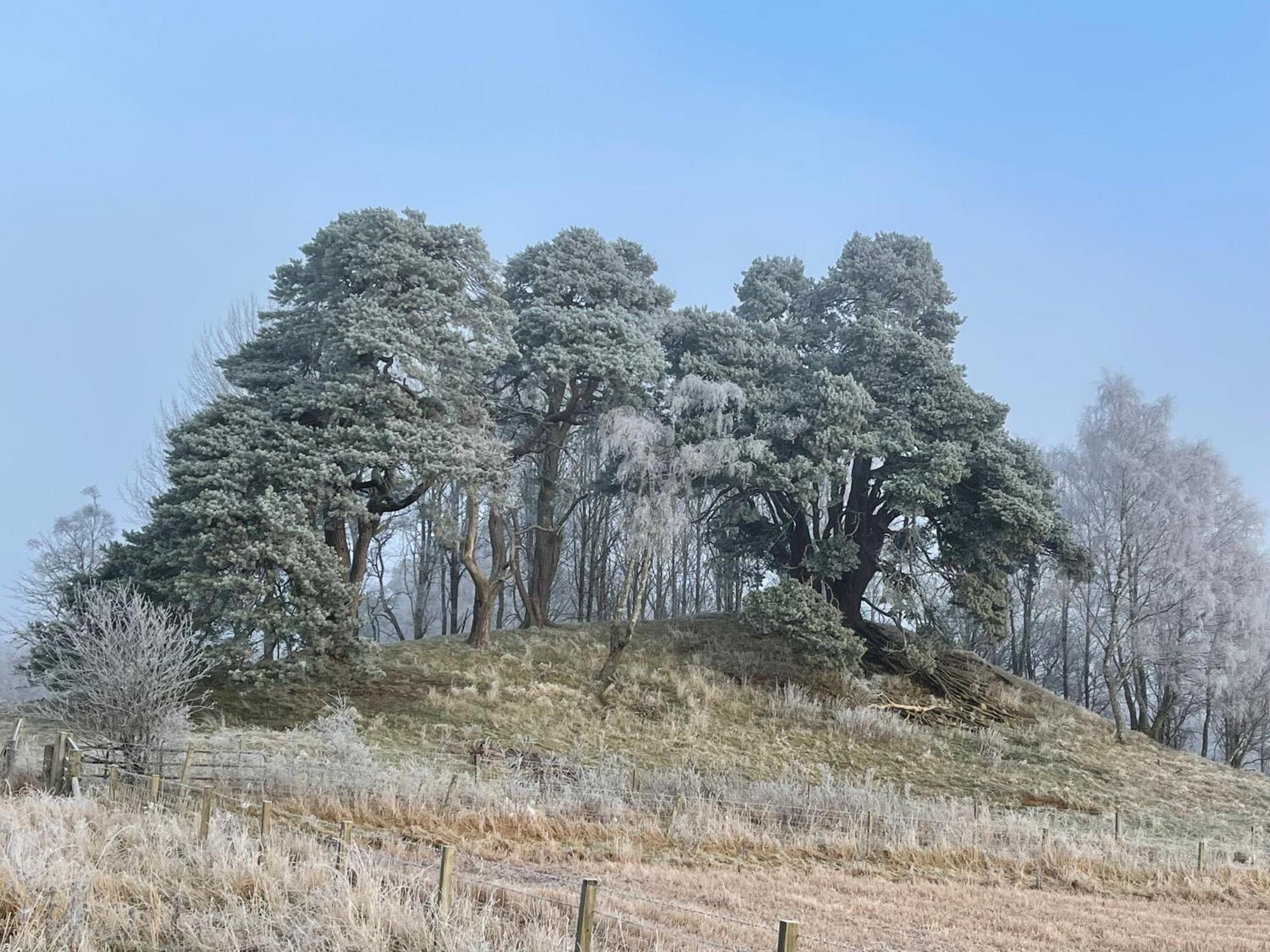 Coppice Cottage Grantown-on-Spey Zewnętrze zdjęcie