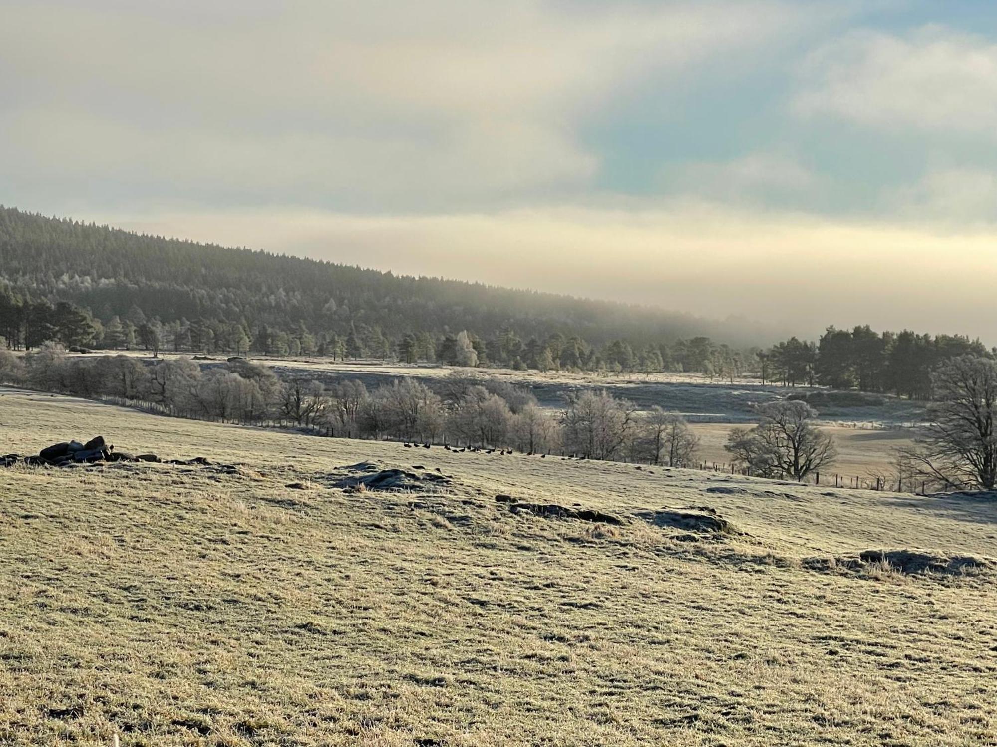 Coppice Cottage Grantown-on-Spey Zewnętrze zdjęcie