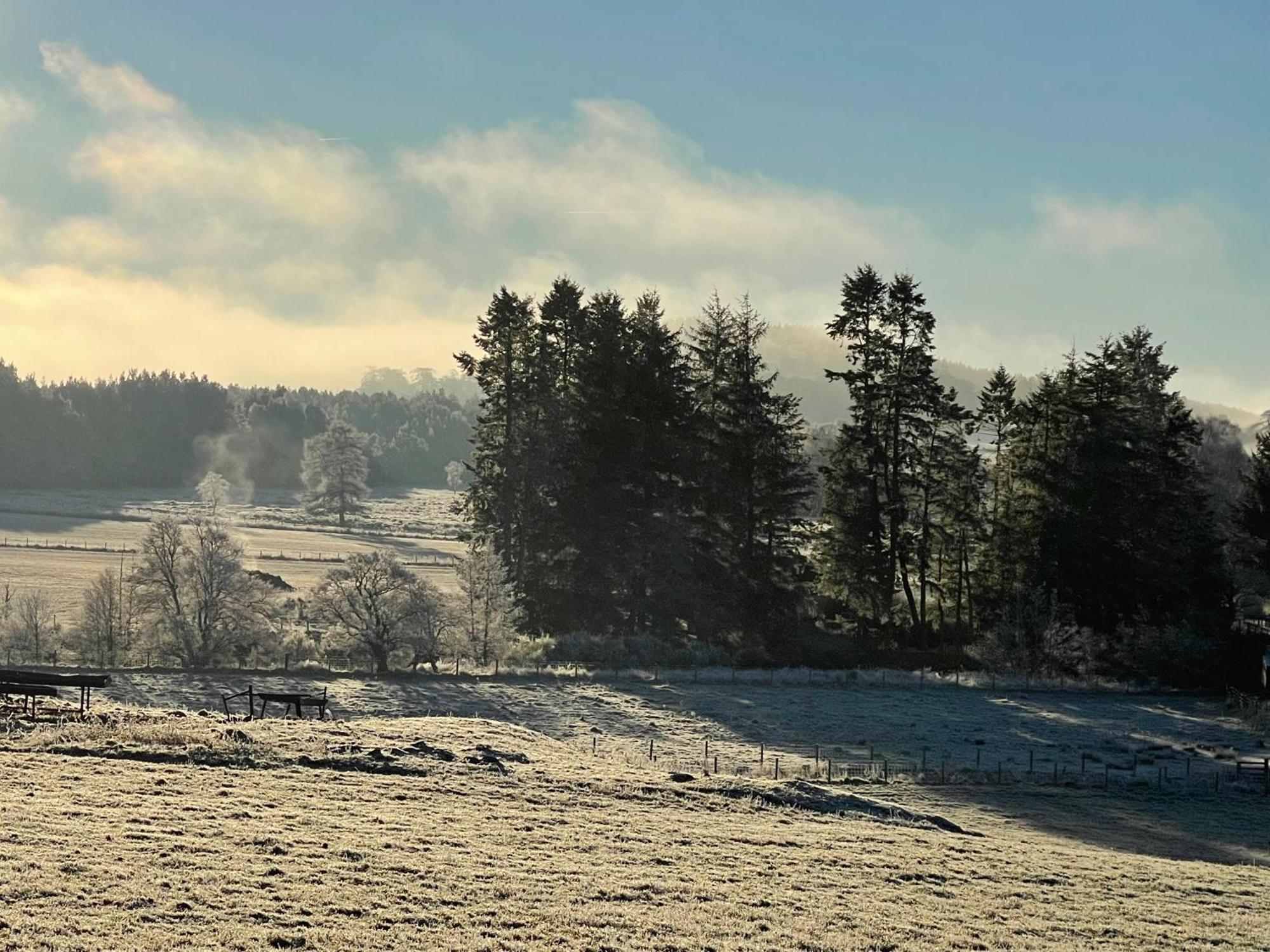 Coppice Cottage Grantown-on-Spey Zewnętrze zdjęcie